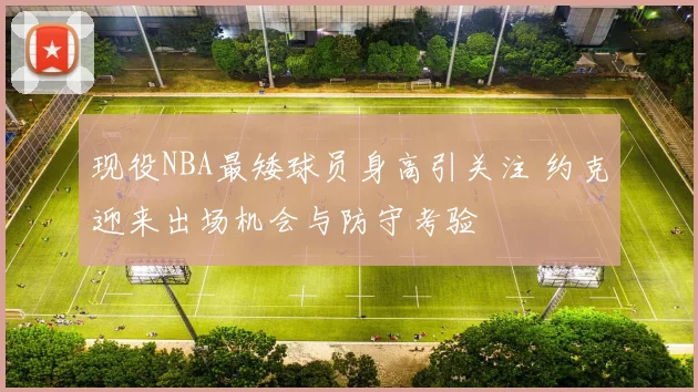 现役NBA最矮球员身高引关注 约克迎来出场机会与防守考验