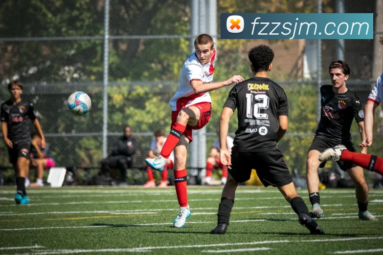 世界杯官方网络平台平台生态图